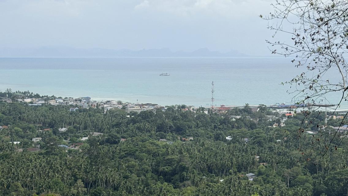Prime Sunset & Sea View Land for Sale in Koh Samui – A Rare Investment Opportunity! 3