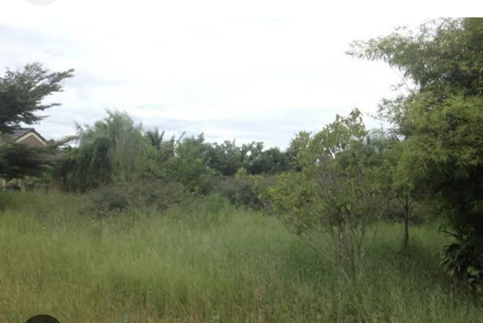 ให้เช่าที่ดินเปล่าราคาถูกที่ศรีราชาบ่อวินชลบุรีสนใจโทร0957986349 1