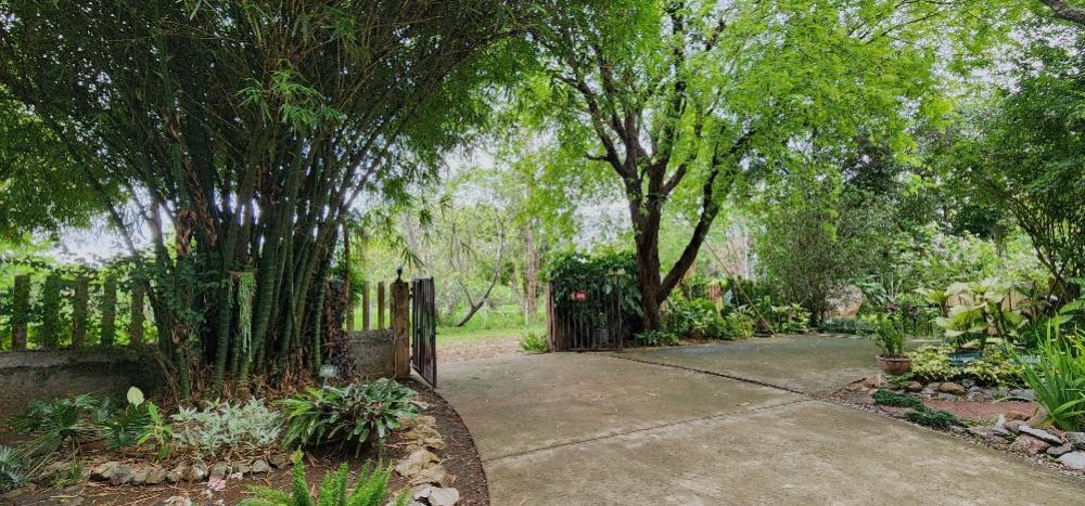 Villa khao yai for sale ขายบ้านพักตากอากาศเขาใหญ่ 3 ไร่ อยู่เส้นธนะรัชต์ ท่าช้างบ้านไร่ หมูสี บ้านสวยพร้อมสวนขนาดใหญ่ ใกล้อุทยานแห่งชาติเขาใหญ่ 6