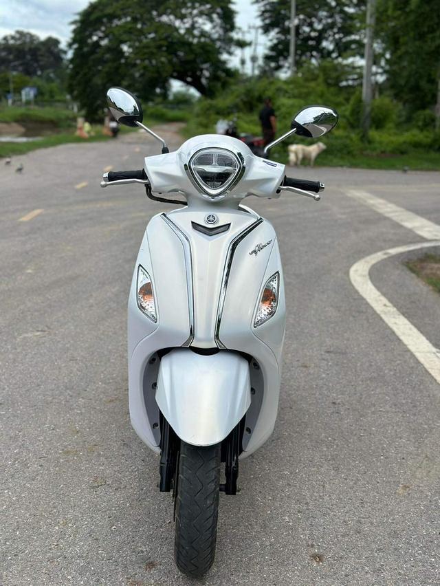 ขาย Yamaha Filano สีขาว 2