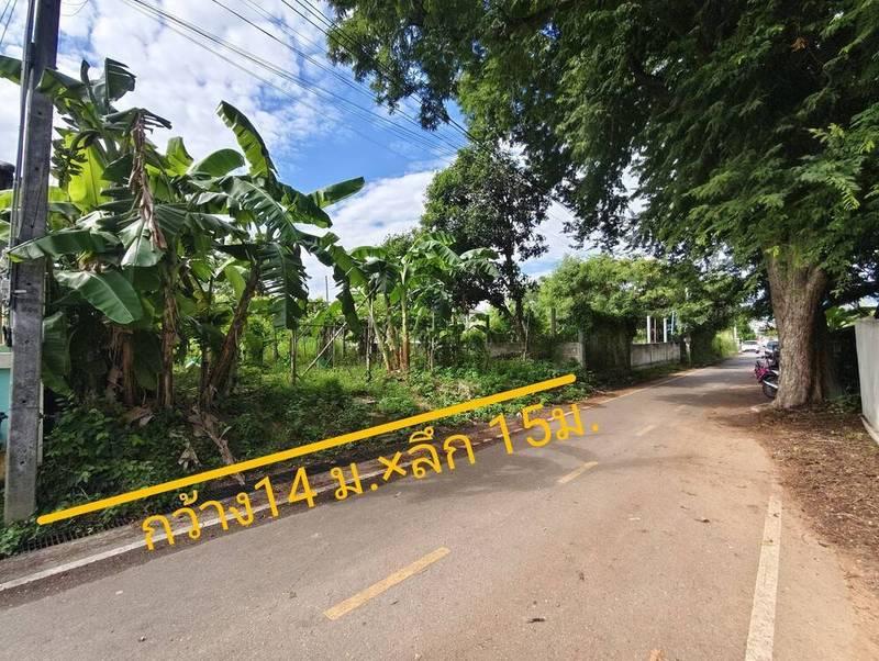 ขายที่ดินสัตหีบ 52 ตรว. ใกล้สุขุมวิท ราคาถูก 2