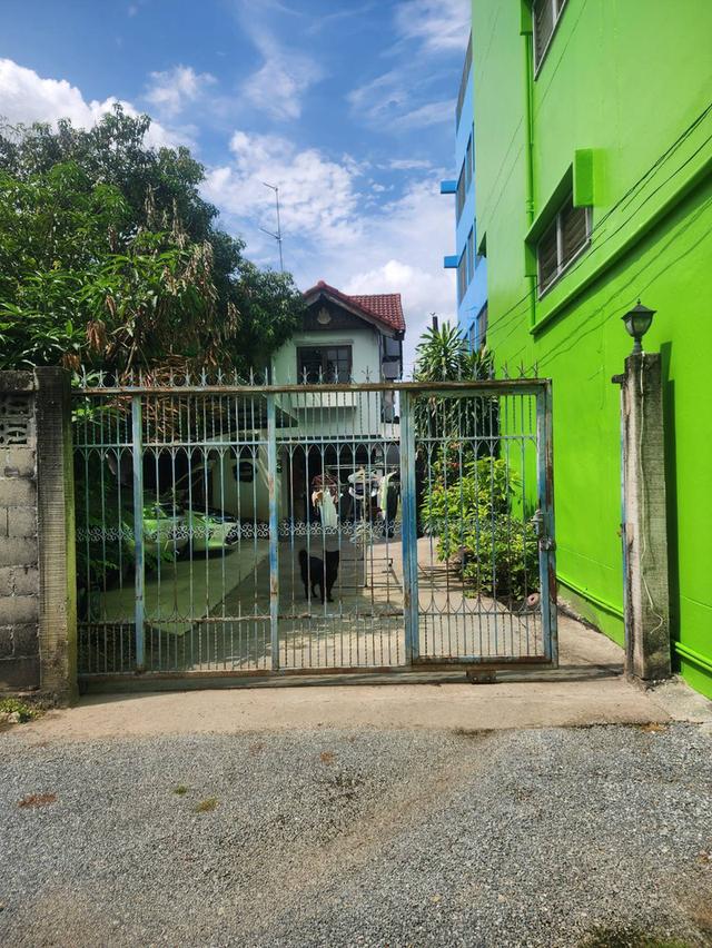 ขายที่ดินติดถนน 275 ตร.ว.  3