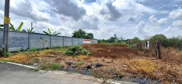 ที่ดินเปล่า 110 ตรว. แปลงมุม ถมแล้ว บางคูวัด บางบัวทอง นนทบุรี 3