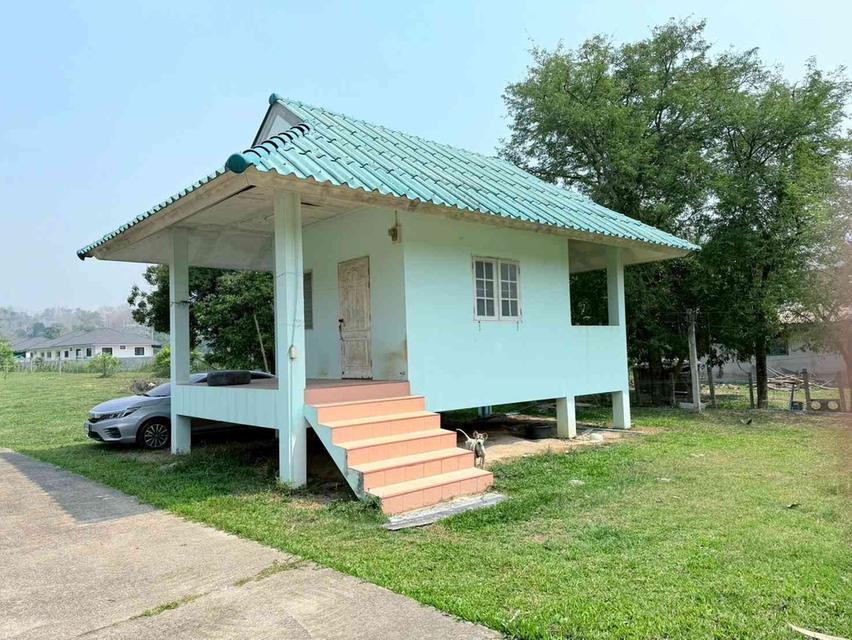 ขายบ้านพร้อมที่ดินแปลงสวย ทำเลทอง ติดถนนใหญ่ จังหวัดเชียงราย 2