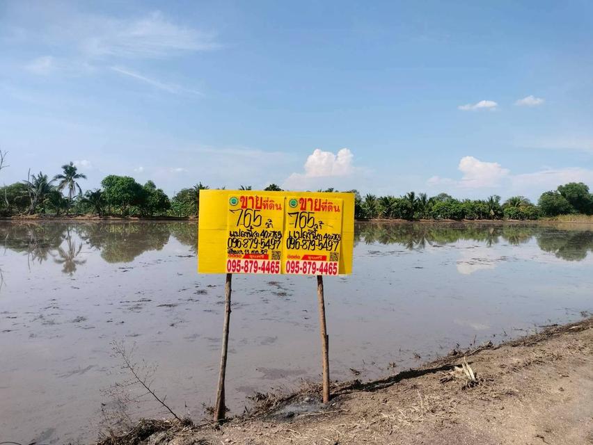 ขายด่วนที่ดิน 765 ตรว ติดถนนสาธารณะ เลียบคลองสิบสามฝั่งตะวันออก 38 หนองจอก กทม. 1
