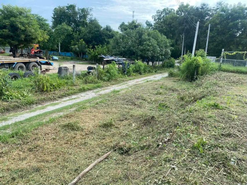 ที่ดินจังหวัดตาก ใกล้ตัวเมือง 8