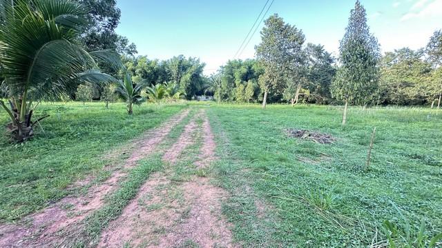 ที่ดินบ้านพร้อมโอนเจ้าของขายเอง ขายที่ดินใกล้หาดบางเบิด ติดถนนทางหลวง ใกล้หาด1 กม. +ขนาดที่ดิน 50-1-18 ไร่ โฉนดครุฑแดง พ 6