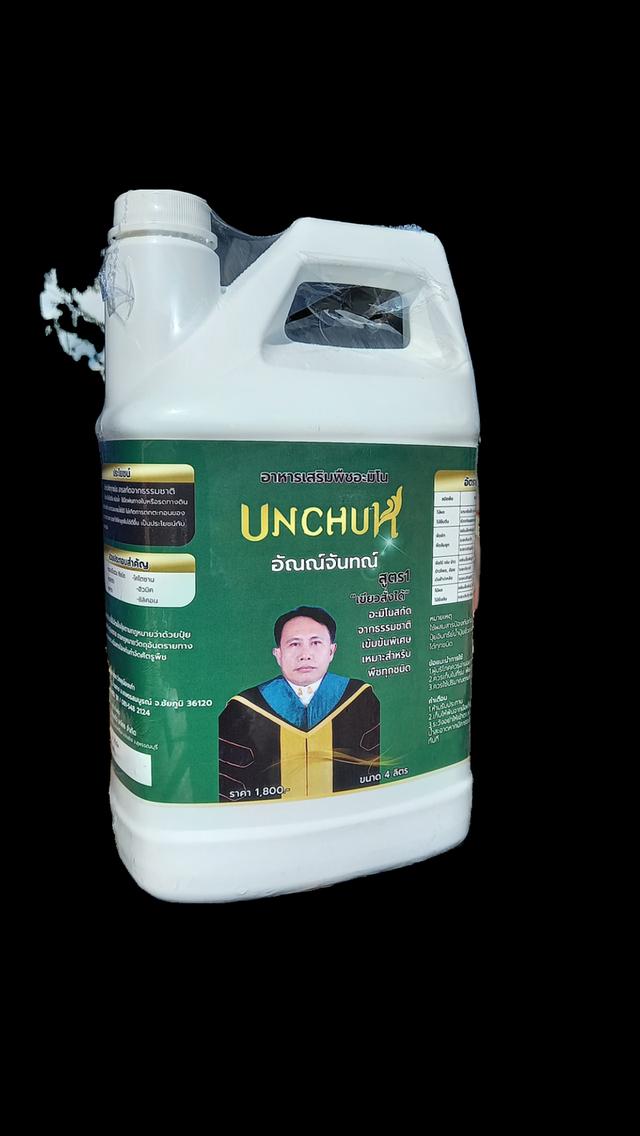 อาหารเสริมพืชอะมิโน อัณณ์จันทณ์ UNCHUN รูปที่ 2