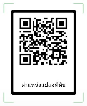 ขายที่เพชรบูรณ์ 42 ไร่ 4