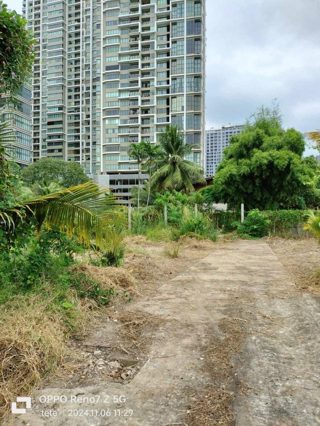 ขายที่ดิน ทำเลดี ซอยม้าศึก แยกจากซอยสุขุมวิท 26 (ซอยอารีย์) กรุงเทพมหานคร 5