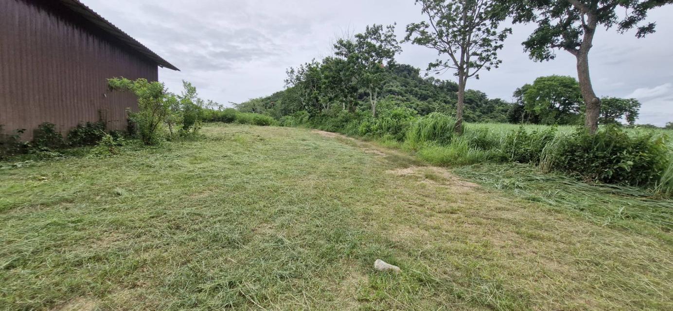 ขายที่ดินพร้อมสิ่งปลูกสร้าง 9