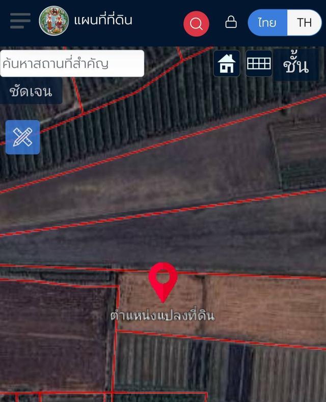 ขายที่ดิน เนื้อที่ 11-3-13 ไร่ พร้อมบ้านตึก 2 ชั้น หลังใหญ่ มีที่นา  1