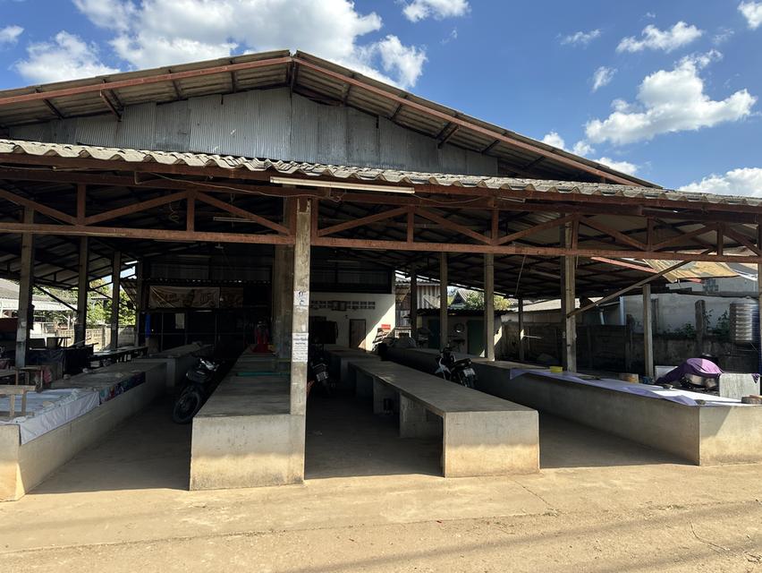 ที่ดินตลาดสดห้วยหมอเฒ่า เชียงราย 5