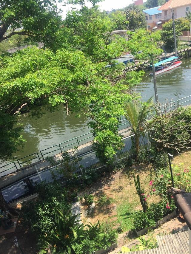 คุ้มสุด ขายบ้านริมน้ำ สุขุมวิท77 ที่ดิน28ตร.ว อ่อนนุช21 บ้านสวยร่มรื่น ใกล้ Makro700ม. โรงเรียนนานาชาติ รถไฟฟ้าBTS เข้าออกได้ศรีนครินทร์ พัฒนาการ 7