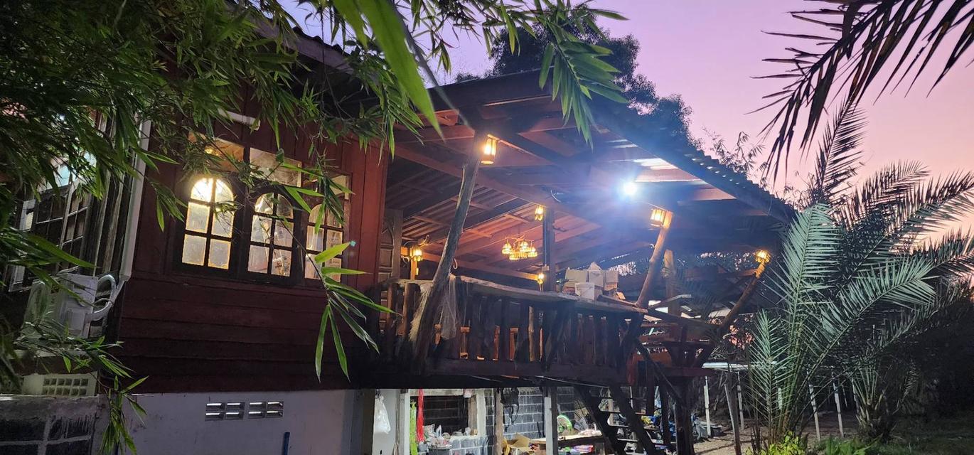 ที​่​ดินพร้อมสวนและบ้านวิวเขาใหญ่ 8