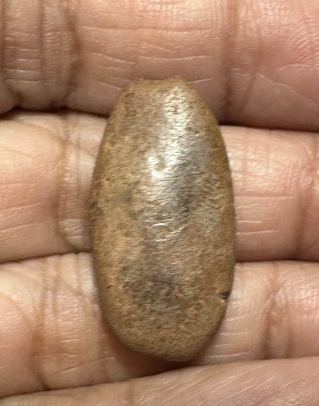 พระพิจิตร พระมีปีก กรุวัดพระศรีมหาธาตุ จ.พิจิตร เนื้อดิน ผิวเดิม พระกรุเนื้อดินผสมว่าน สร้างในสมัยสุโขทัย รูปที่ 2