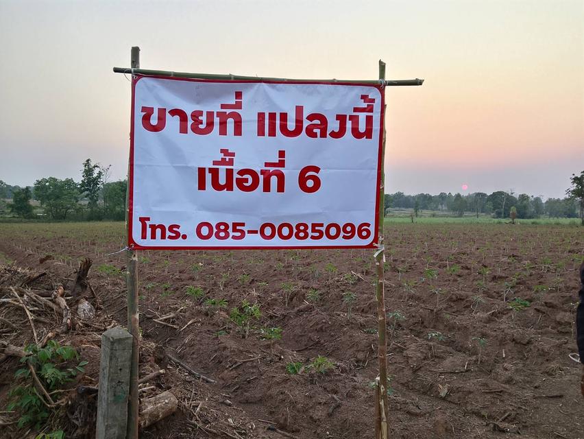 ขายที่ดิน จำนวน 6 ไร่ 4