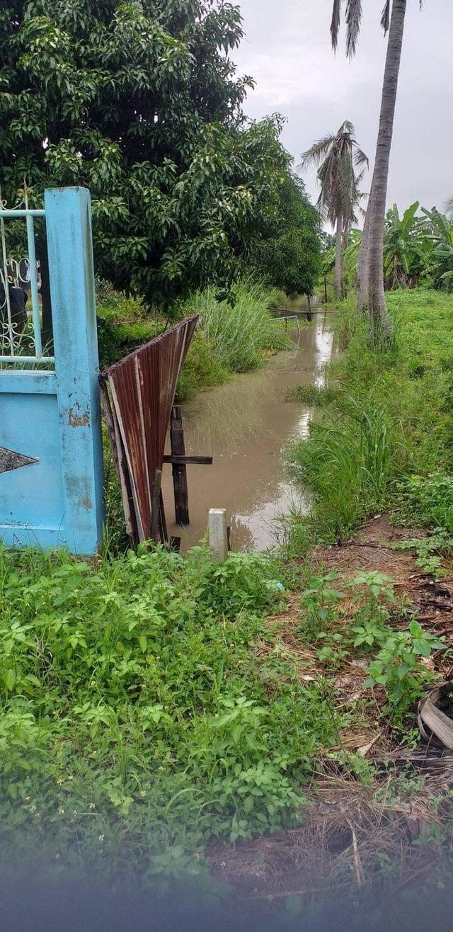 ขายที่ดิน 39 ไร่ คลองหลวงคลองสี่ 2