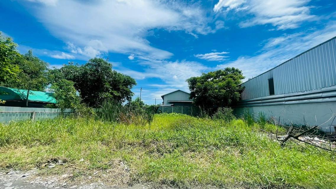 ขายที่ดินร่มเกล้า (ซอยร่มเกล้า 17 แยก 6) 1