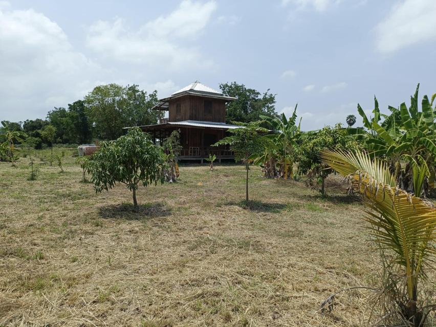 ขายบ้านพร้อมที่ดินเนื้อที่ 3 ไร่  (โฉนดที่ดิน ครุฑแดง 2 โฉนด)  10