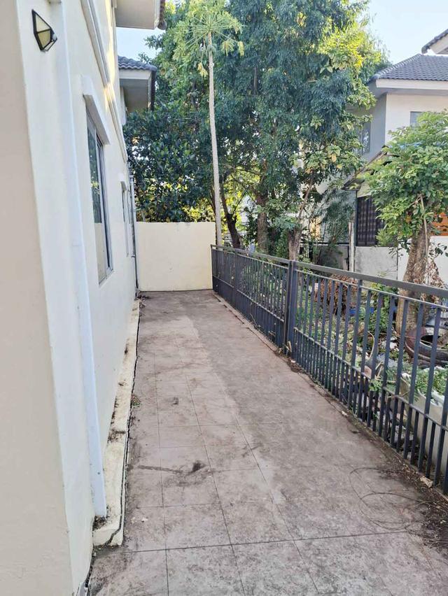 ให้เช่าทาวเฮ้าส์ 2 ชั้น หมู่บ้านพฤกษา46/1 คลองสาม คลองหลวง ปทุมธานี ใกล้บิ๊กซีคลองสาม,ฟิวเจอร์,วัดพระธรรมกาย หลังมุม 4