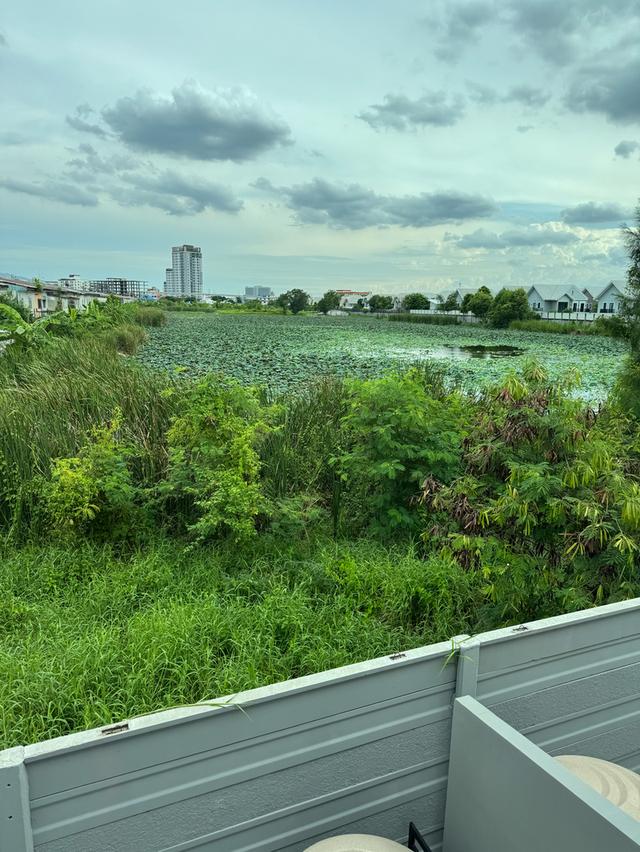 ขายบ้านด่วน pleno รามอินทราบางชันสเตชั่น 2 วิวหลังบ้านติดบึงบัว สนใจติดต่อ 089-2031188 8