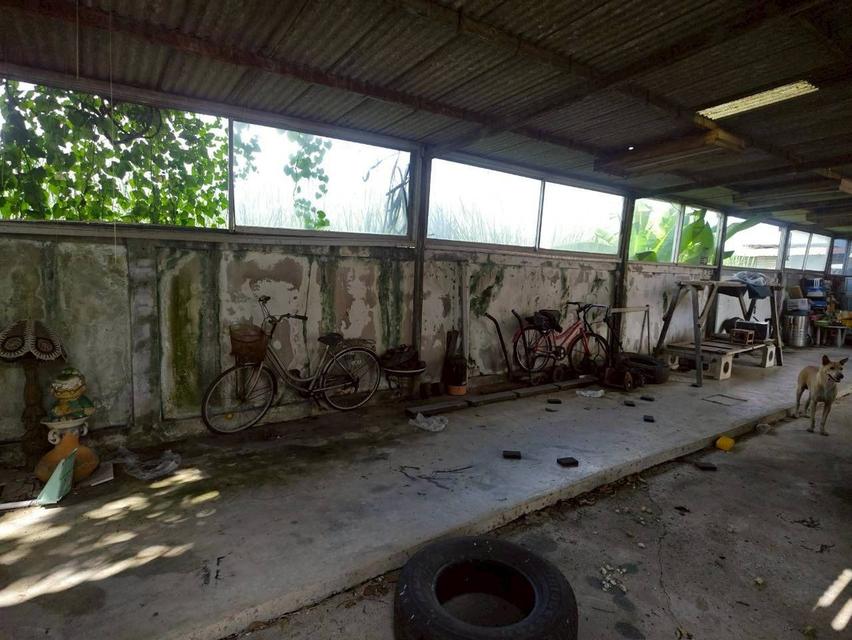 ขายบ้านพร้อมที่ดิน ทำเลดี หมู่บ้านพาราไดซ์การ์เด้นท์ เขตลาดกระบัง จังหวัดกรุงเทพมหานคร 12