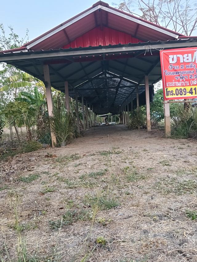 ขายด่วนบ้าน2หลังที่ดิน2ไร่เขตชุมชนติดถนนลาดยางน้ำไม่ท่วมไม่มีประวัติอยู่ไกล้ม. ราชมงคลสุวรรณภูมิสามชุกจ. สุพรรณขาย2. 55ล. สนใจ0894109810เจ้าของโดยตรง 19