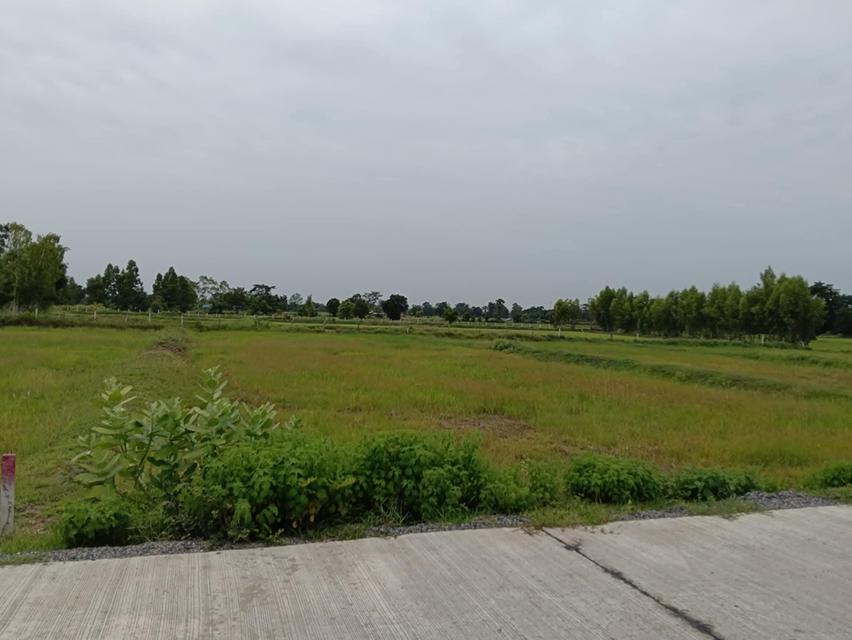 ที่ดิน3ตรว.ใกล้ถนนมิตรภาพ500เมตร 7