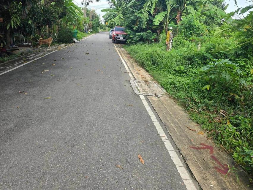 ขายด่วนที่ดิน 52 ตรว ติดถนนลาดยางสาธารณะ ถมแล้ว ต.บางคูรัด อ.บางบัวทอง จ.นนทบุรี 9