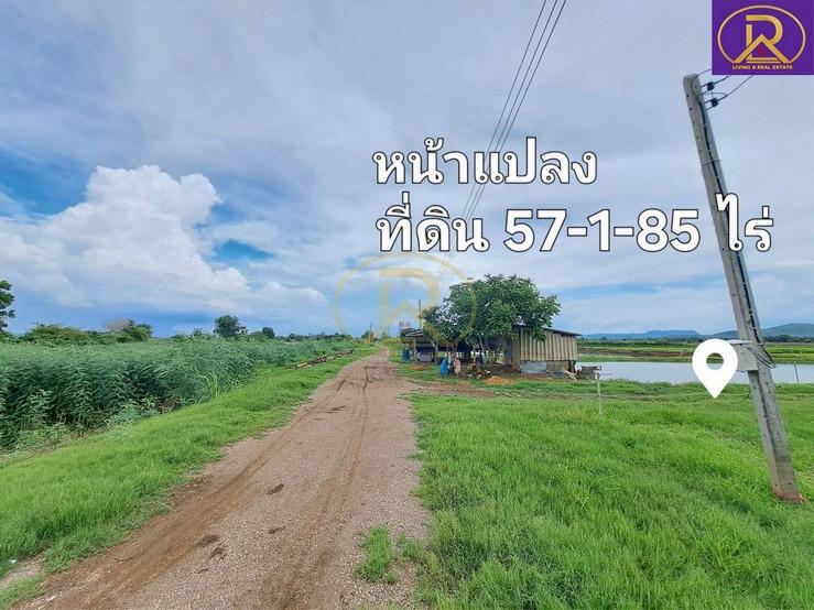 ขายที่ดินใกล้วิทยาลัยเทคโนโลยีสารสนเทศเพชรบูรณ์ แปลงสวย 57-1-85 ไร่ ต.ซับสมอทอด อ.บึงสามพัน จ.เพชรบูรณ์