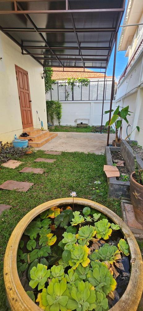 ขายบ้านเดี่ยว 2 ชั้น หมู่บ้านมนตรีปาร์ค ศรีราชา พื้นที่ 80.1 ตรว. ทำเลดี ใกล้ถนนสุขุมวิท เดินทางสะดวก เพียง 4.5 ล้าน 13