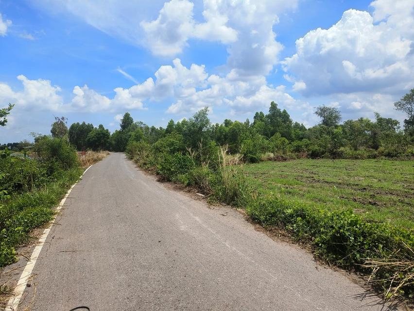 ขายที่ดินเกาะขนุน 1 ไร่ ติดถนนลาดยาง ใกล้ถนนสุวินทวงศ์ทล.319-2กม. อ.พนมสารคาม ฉะเชิงเทรา 4