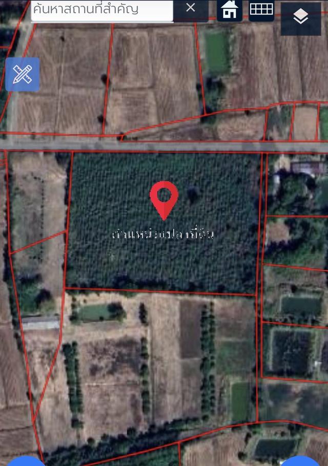 ขายที่ดิน 13 ไร่ อ.จอมพระ จ.สุรินทร์ 1
