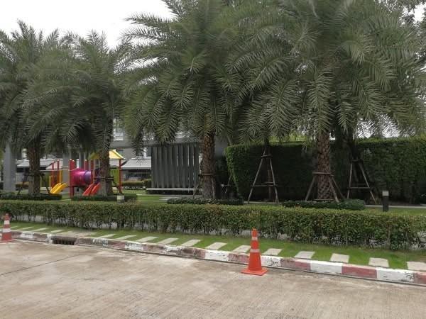ให้เช่าทาวน์โฮม โครงการ บ้านกลางเมืองพระราม 9 รามคำแหง 39 ใกล้ทาวน์อินทาวน์ ใกล้เลียบด่วน 3