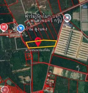 ขายที่ดินหนองอิรุณชลบุรี ที่ดินเนินโมก 10 ไร่ ต.หนองอิรุณ อ.บ้านบึง จ.ชลบุรี พื้นที่สีเหลือง( แบ่งขายได้ ) 1