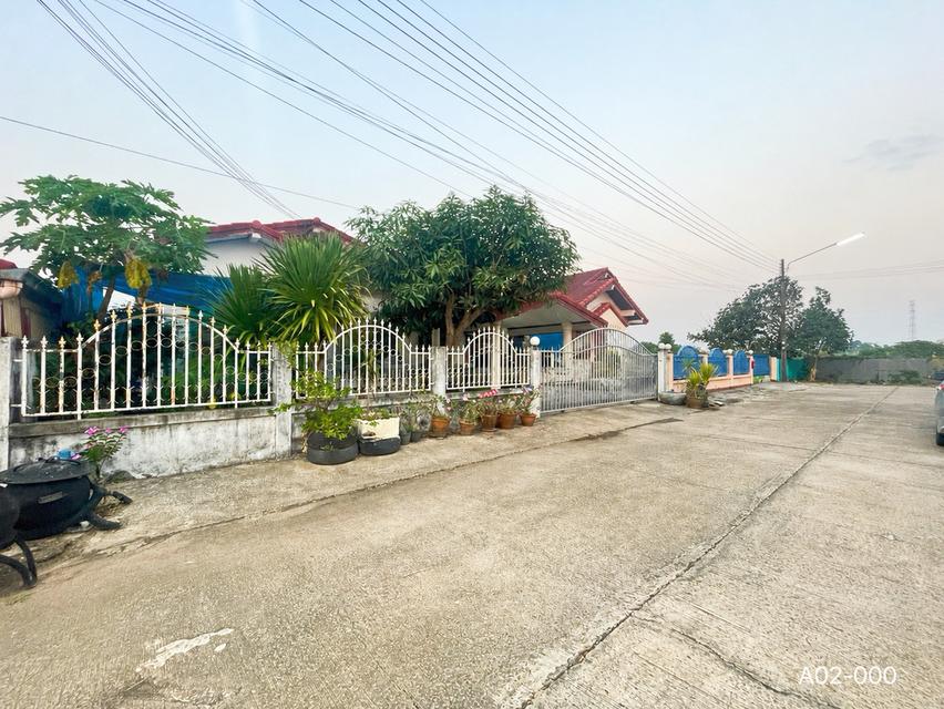 บ้านเดี่ยวขายถูก 3 นอน 2 น้ำ บ้านร่มเย็น3 ใกล้แยกหนองใส การประปา สันตพล 7