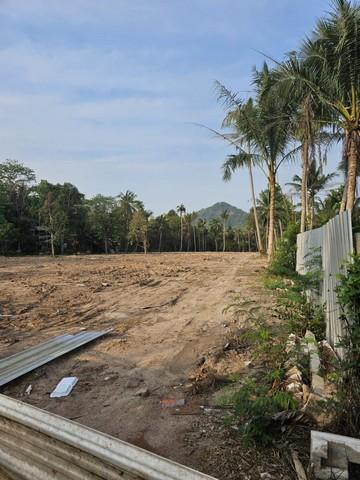 ขายที่ดินหนองขามเนื้อที่ 7 ไร่ ซอยเขาตะแบก-มาบบอน ใกล้นิคมปิ่นทองและถนน331-2กม. อ.ศรีราชา ชลบุรี 4