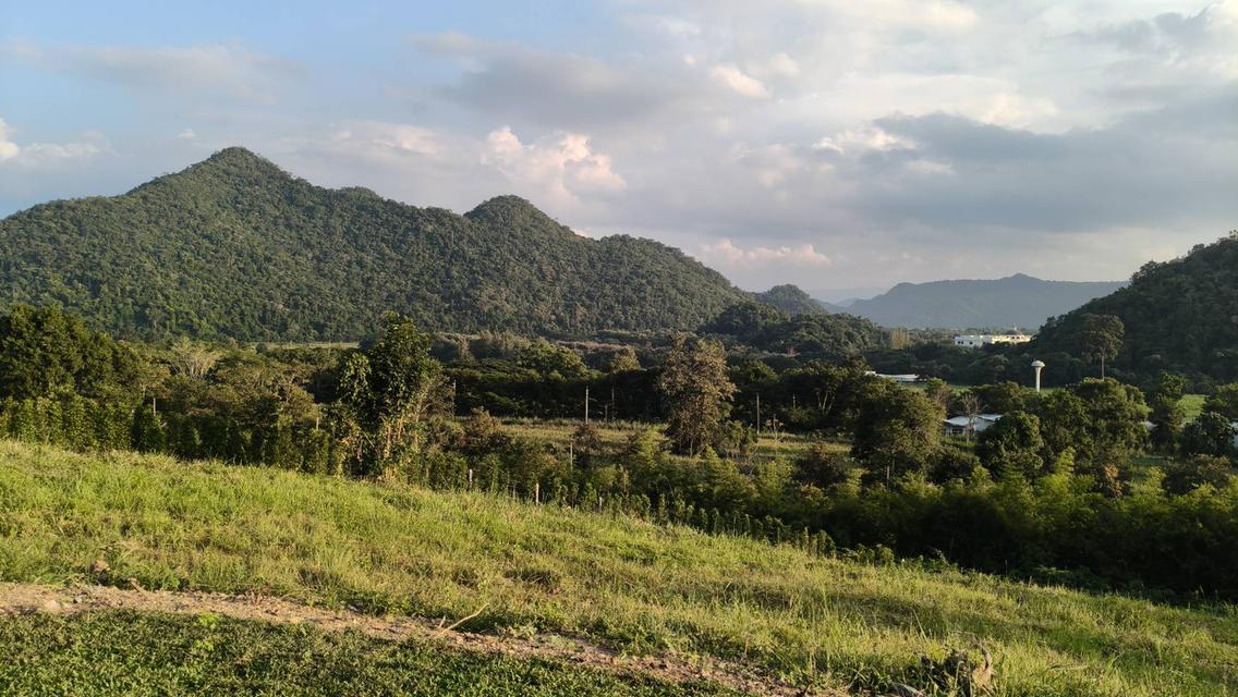 ขายที่ดินบนเนินเขา เขาใหญ่ 2ไร่ เส้นธนะรัชต์ หมูสี หนองน้ำแดง ปากช่อง ที่สูงบนเนิน วิวเขาสวยมาก ทิวเขาสลับซับซ้อน เพชรเม็ดงาม น้ำไฟพร้อม ใกล้M6 ตลาด 1