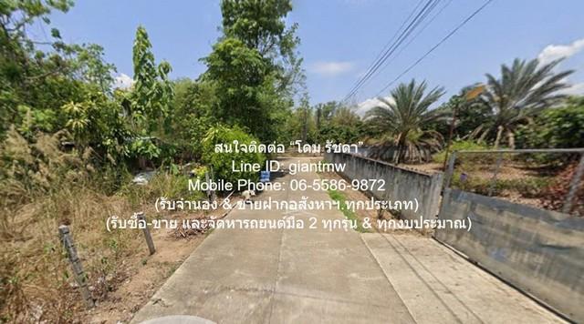 ขายที่ดินเปล่าจัดสรร (ถมแล้ว มีรั้วแล้ว) 179 ตร.ว. แม่แตง เชียงใหม่ 4
