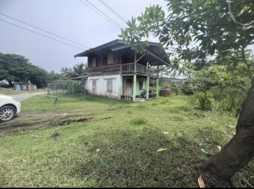 บ้านเดี่ยวพร้อมที่ดิน 8