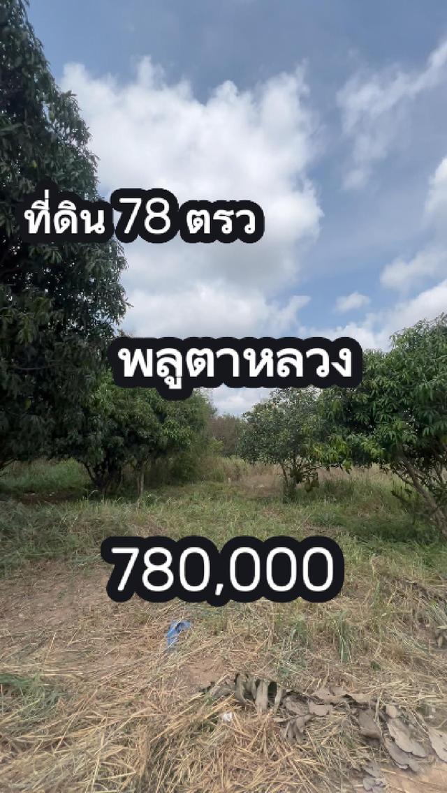 ที่ดิน78 ตรว ราคา780000 1