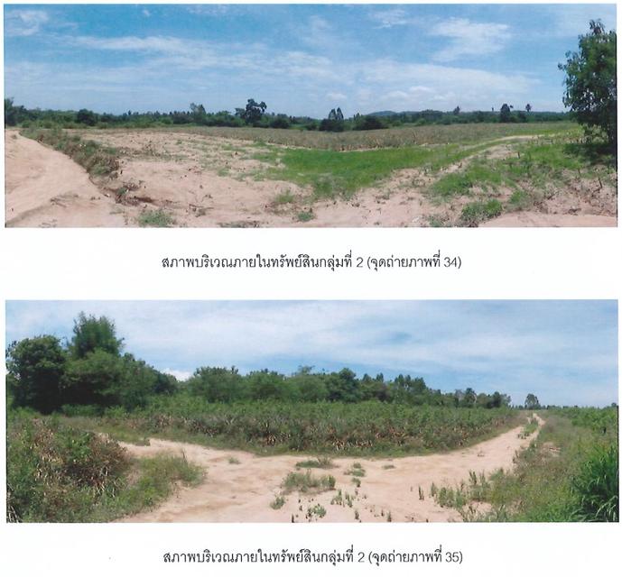 ขายที่ดินเปล่า แปลงใหญ่  ทำเลศักยภาพ อำเภอบางละมุง จังหวัดชลบุรี 10