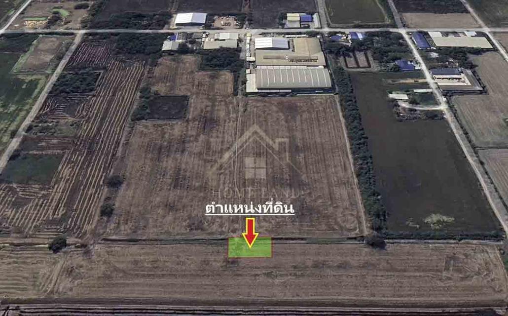 ที่ดินเปล่า 116 ตารางวา คลองโยง นครปฐม 2
