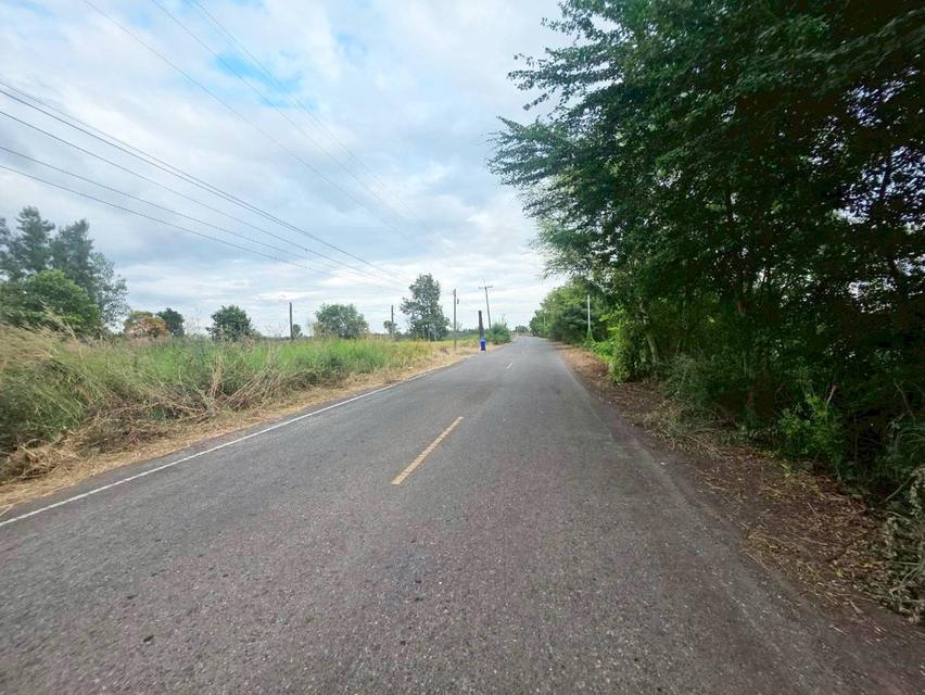 ขายที่ดินเปล่า ดงละคร ใกล้วัดใหม่บำเพ็ญผล ปากพลี นครนายก 2