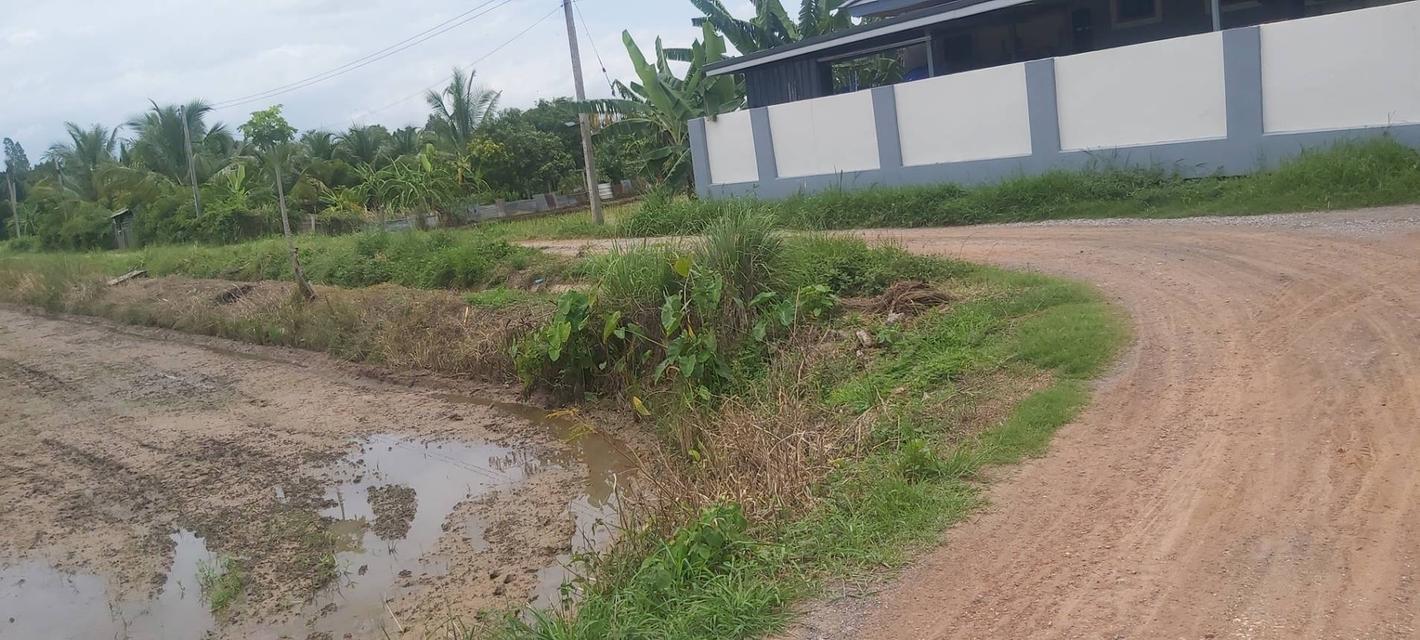 ที่ดินโซนพุทธมณฑลอีสานขอนแก่น 4