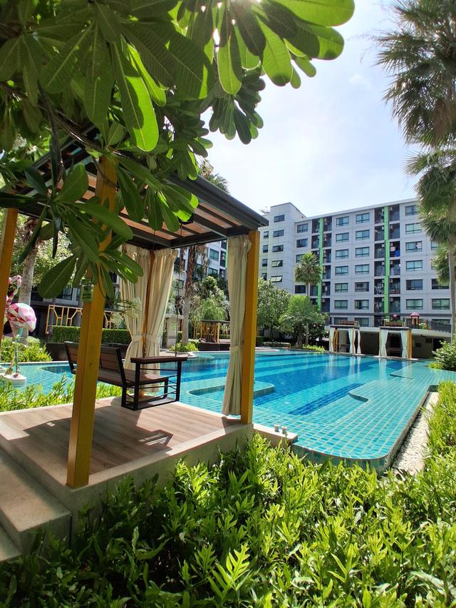 ให้เช่า กรีเน่คอนโด ดอนเมืองสรงประภา วิวสระ 34sq.m.9,500 16