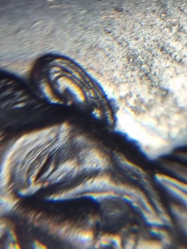 เหรียญหลวงพ่อเกษม เขมโก กองพันลำปาง ปี17 6