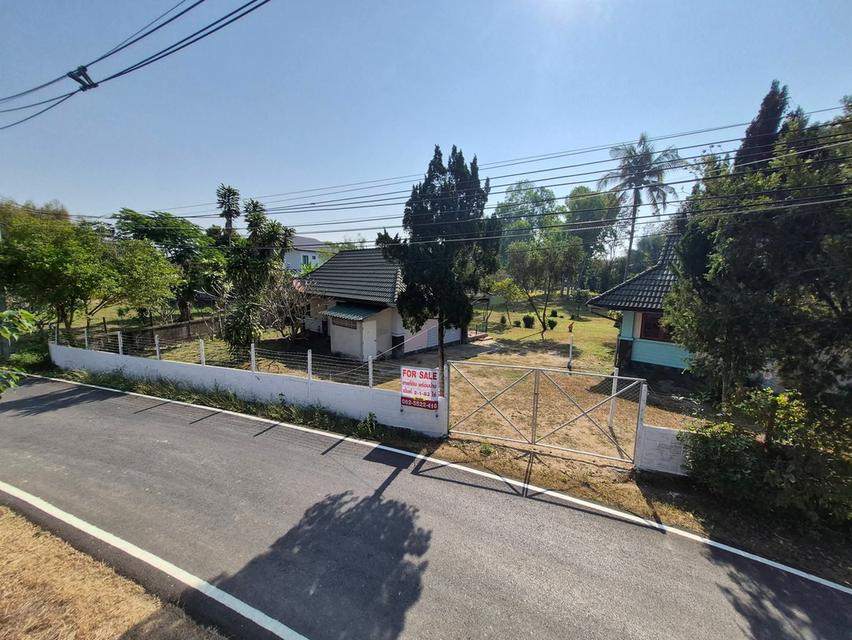 ที่ดิน ใกล้เชียงใหม่ไนท์ซาฟารี และ พืชสวนโลก จังหวัดเชียงใหม่ 1