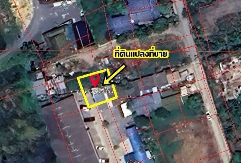ขายที่ดินในซอยวัดศรีประวัติ ขายด่วน ขายถูก ขายขาดทุน 3